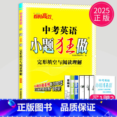 英语 全国通用 中考英语 单项填空与完形填空 [正版]2025版恩波教育 小题狂做提优版中考英语 完形填空与阅读理解 九