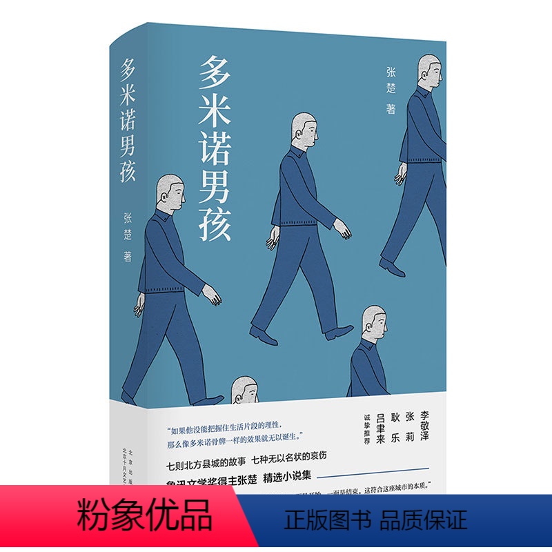 [正版]多米诺男孩 七则北方县城的故事 七种无以名状的哀伤 鲁迅文学奖得主张楚 精选小说集