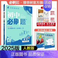 数学 RJ 九年级下 [正版]理想树2025版初中九年级下册数学人教版RJ初三同步练习中考复习资料模拟题辅导书同步练习题