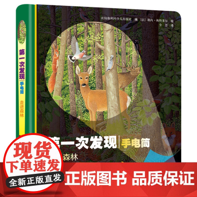 *次发现·手电筒:走进森林(精装)