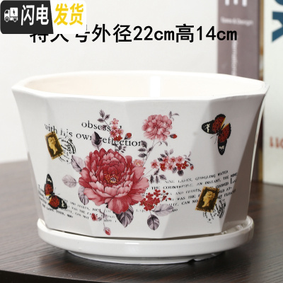 三维工匠花盆陶瓷创意个性两个大号特大号带托盘家用绿萝多肉花盆 浅黄色菱蝴蝶菊一个特大 大花盆容器