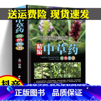 [正版]精编中国药典中草药原色图谱彩图大全书中草药图鉴图谱中国药材图鉴 中医学书籍中药材大全 300余种常用中草药识别