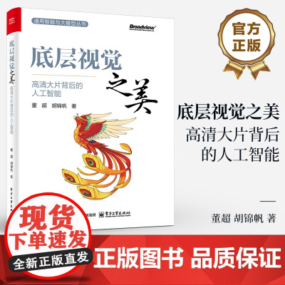 正版 底层视觉之美 高清大片背后的人工智能 解码底层视觉技术算法产品内容生成技术图像超分辨率网络SRCNN书籍