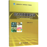 音像会计核算基础实训唐莹 主编