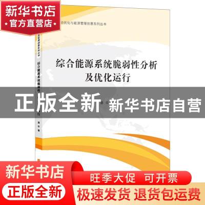 正版 综合能源系统脆弱性分析及优化运行 潘华 上海财经大学出版
