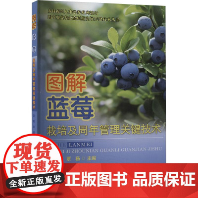 图解蓝莓栽培及周年管理关键技术 董畅 覃杨 编 9787565531729 中国农业大学出版社