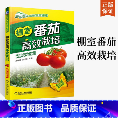 [正版]棚室番茄高效栽培 高效种植番茄书籍西红柿栽培技术大全书籍番茄种植技术书农业种植技术 番茄病虫害防治 番茄标准化