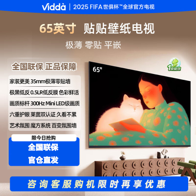 Vidda 贴贴壁纸电视 65英寸海信电视智能家用液晶电视机65V7Q