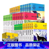 [礼盒装]沈石溪动物小说36册 [正版]沈石溪动物小说全集36册全套品藏书系 8-10-12-15岁儿童文学三四五六年级