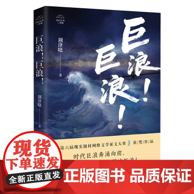 巨浪!巨浪! 现实题材网文大神荆洚晓“湾区纪事三部曲”第一部 大湾区 时代浪潮 个体命运 长篇小说 花城出版社正版书籍