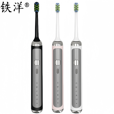 铁洋 电动牙刷 EA371 个