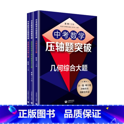 中考数学压轴题突破系列套装3册 几何综合大题 坐标系内的几何代数综合大题 选择填空压轴小题 [正版]初中数学压轴题精讲精