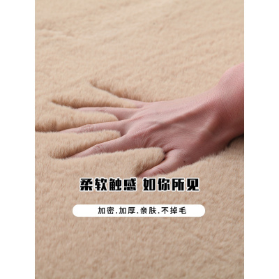 美帮汇加厚地毯卧室飘窗垫床边少女简约ins网红兔毛欧式客厅地垫可定制