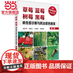 现代果树病虫害诊治丛书--草莓蓝莓树莓黑莓病虫害诊断与防治原色图鉴(第二版) 吕佩珂 化学工业出版社 正版书籍