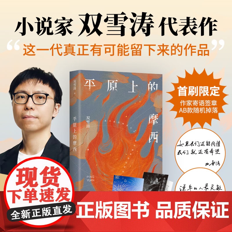 平原上的摩西 双雪涛代表作 电影《平原上的火焰》《我的朋友安德烈》原著 首刷限定附赠光栅卡+创作谈