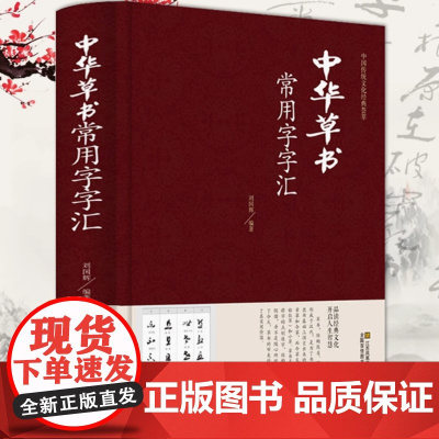 精装 中华草书大字典常用字字汇中国传统文化经典荟萃含孙过庭智永怀素王羲之黄庭坚米芾虞世南王铎傅山文天祥等偏旁部首查询书籍