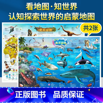 [正版]8块8购4张2021年新版史前动物+海洋动物地图墙贴儿童房大尺寸高清地理百科知识挂画撕不烂初中小学生地图册抖音