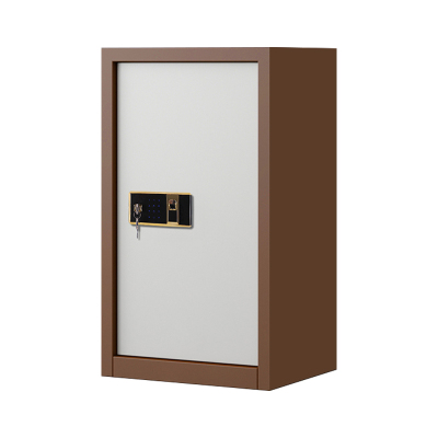 风雷动指纹电子保密柜钢制密码文件柜档案柜矮柜保密资料柜办公柜单门咖白钥匙指纹