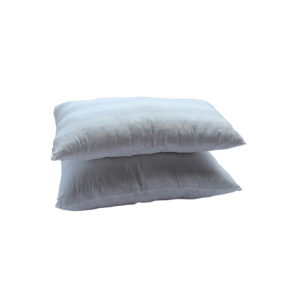 紫燕沙 抱枕芯 370×580mm 纯棉布加pp棉加拉链 个