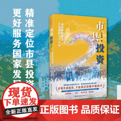 市县投资2:政府投资基金与全国统一大市场 上海远东出版社