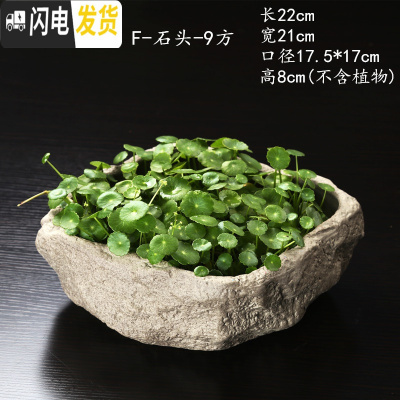 三维工匠水仙花盆铜钱水培花盆水养仿石头盆景碗莲睡莲个性创意陶瓷无孔 F-石头-9方 大花盆容器