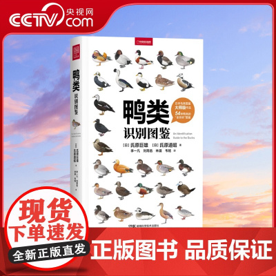 [央视网]鸭类识别图鉴 中国国家地理鸟类图鉴科普图鉴书籍中国国家地理 鸭类图鉴鸭宝书DL