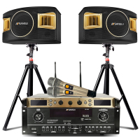 山水(SANSUI) SP2-11卡拉OK组合音箱家用客厅电视家庭影院KTV音响K歌套装