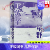 [正版]再见 星群 王苏辛著 当代都市青年的呐喊与彷徨 现在文学作品集 江苏译林出版社 凤凰书店 书籍