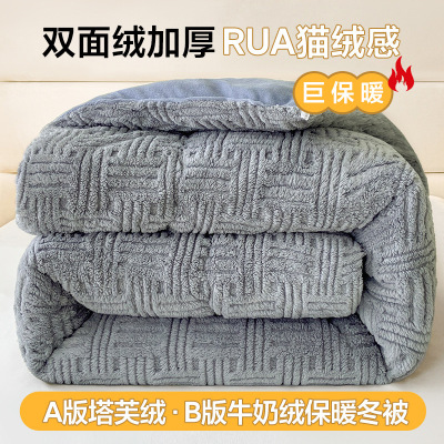 冬季塔芙绒棉被加厚保暖双面加绒被子冬被牛奶绒秋冬被芯单人被褥