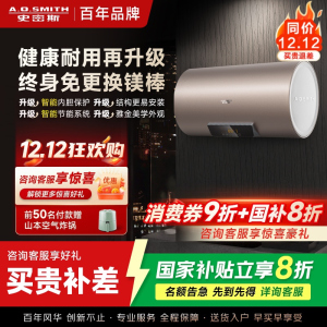 史密斯60升电热水器 国家补贴 专利免更换镁棒 金圭内胆 短款 速热节能 CEWH-60ED3 一级能效