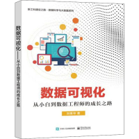 [M]数据可视化 从小白到数据工程师的成长之路-9787121362231