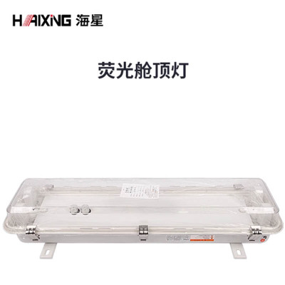 海星荧光舱顶灯JCY22-2EFJ
