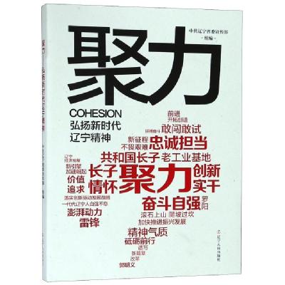 正版新书]聚力(弘扬新时代辽宁精神)刘玉玮9787205094553