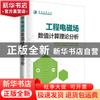 正版 工程电磁场数值计算理论分析 李朗如,王晋编著 中国电力出