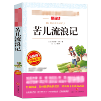 [M]苦儿流浪记 无障碍精读版-9787545541045