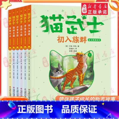 [首部曲]猫武士注音版 [正版]书店猫武士注音版美绘本 全套首部曲6册 奇幻动物小说故事书小学生一二三年级阅读课外书读必