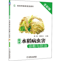 [M]图说水稻病虫害诊断与防治 全彩版-9787111615606