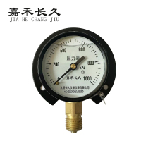 嘉禾长久 风表耐震压力表 YTN60T 块