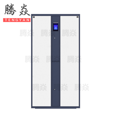 腾焱智能更衣柜二门台