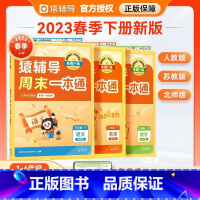 [人教]周末一本通数学 五年级下 [正版]2023春季新版周末一本通语文数学英语下册同步训练一二三四五六年级通用版人教北