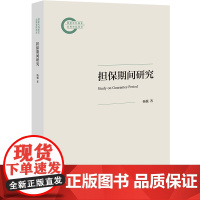 正版 担保期间研究 杨巍 著 法律出版社
