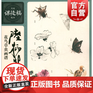 陆抑非花鸟草虫画谱 名家课徒稿临本 国画花鸟虫草技法理论解析 名家精选国画手稿作品集鉴赏 绘画入门教程 上海人民美术出版