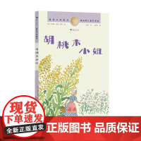 浪花朵朵正版 国际大奖童书 胡桃木小姐 9-12岁儿童文学 纽伯瑞儿童文学金奖 冒险幻想故事