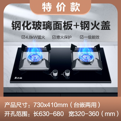 志高(CHIGO)煤气灶双灶燃气灶家用嵌入式天然气灶台式液化气灶猛火灶炉具_特价钢化面钢质分火器_天然气