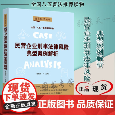 民营企业刑事法律风险典型案例解析 法官说法丛书(第二辑)鲁桂华 中国法制出版社