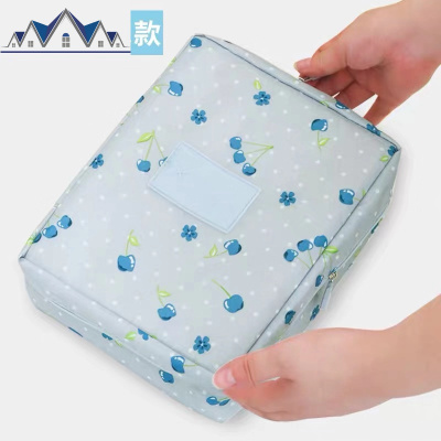 网红ins风化妆包女随身便携大容量收纳箱手提透明超火防水洗漱包 三维工匠收纳包