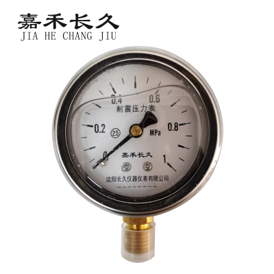 嘉禾长久/耐震压力表/YTN60/2.5级/个