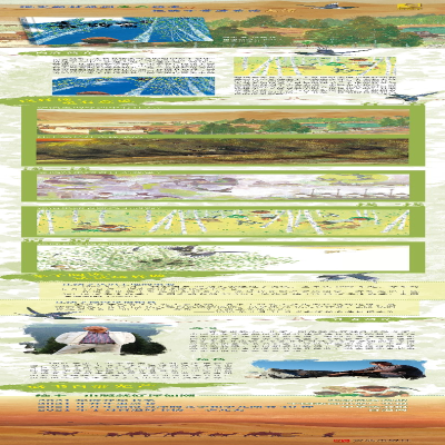 [M]喜鹊窝 海飞 著 杨鹁 绘 -9787555293361