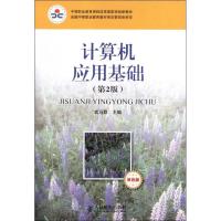 正版新书]计算机应用基础 (第2版双色版)武马群9787115317742