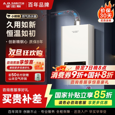 AO史密斯新品小体积16升精钢燃气热水器 JSQ31-EC3 负压燃烧更安全 精控恒温 家用持久恒温大水量